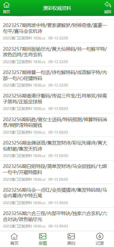 2024年澳门正版免费大全,澳门正版免费大全与法律的博弈，犯罪行为的警示与反思（不少于1753字）