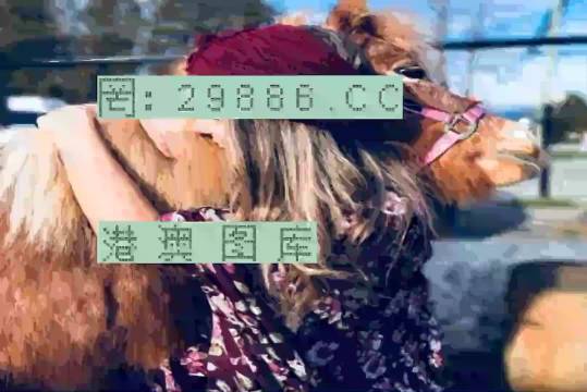 7777788888跑狗论坛资料,探索跑狗论坛，揭秘数字组合77777与88888的魅力世界