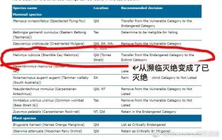 新澳今天最新免费资料,新澳今天最新免费资料概览