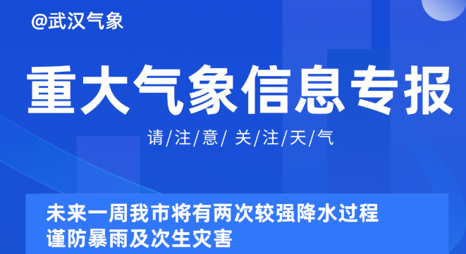 2025新奥资料免费精准109,探索未来，2025新奥资料免费精准共享之道（第109篇研究）